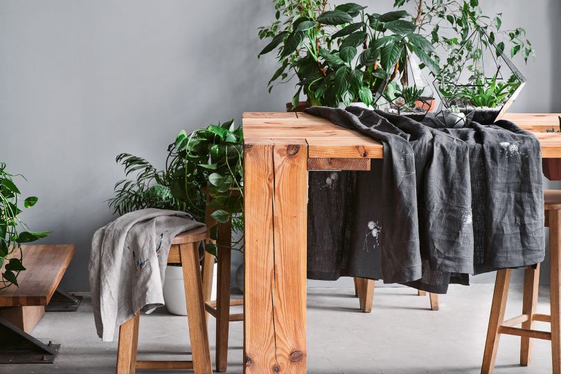 table and plants